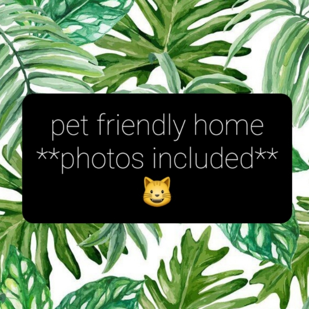 🖤🐶🐱🦜Pet friendly home🦜🐱🐶🖤